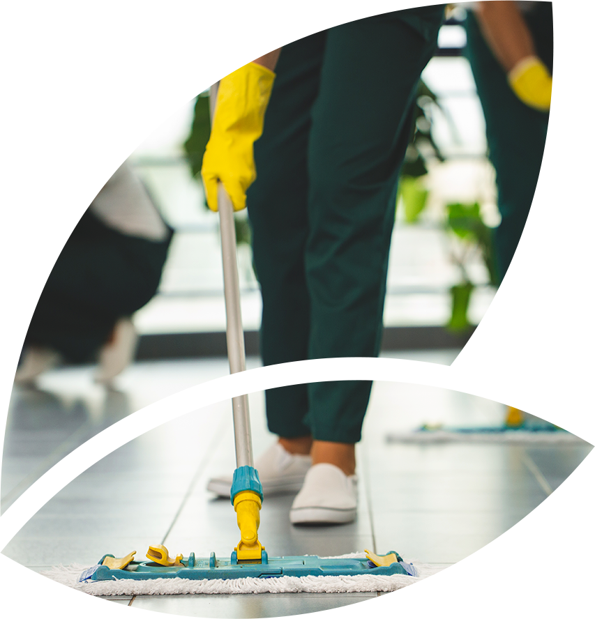 shutterstock_1195596085